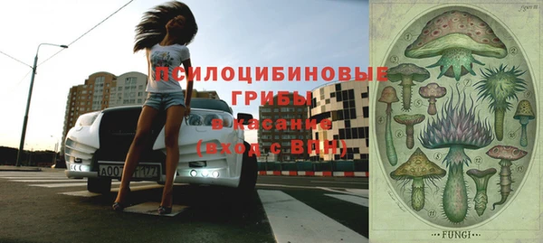 гашик Навашино