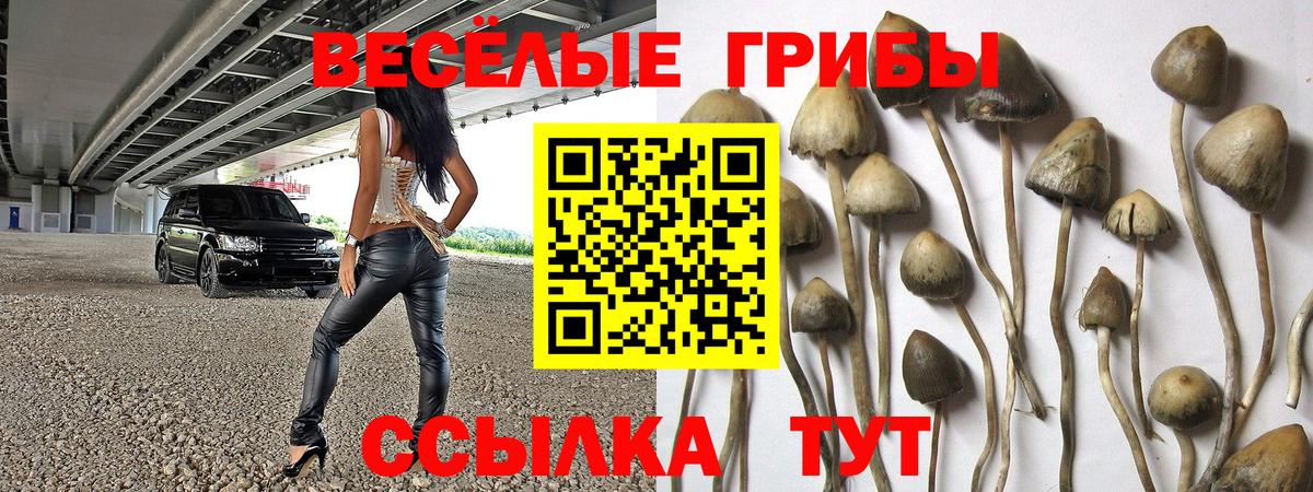 Псилоцибиновые грибы Magic Shrooms  Батайск  Галлюциногенные грибы Magic Shrooms 