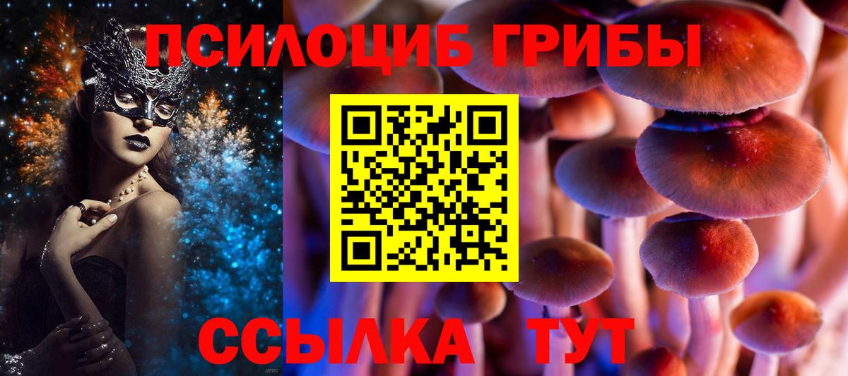 купить  сайты  Галлюциногенные грибы Psilocybe  Вход с VPN  Батайск 